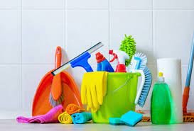 Professional Cleaning Service